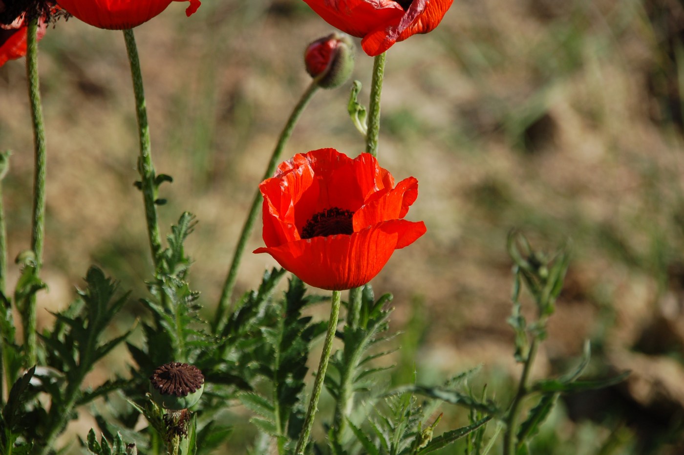 Bild 1